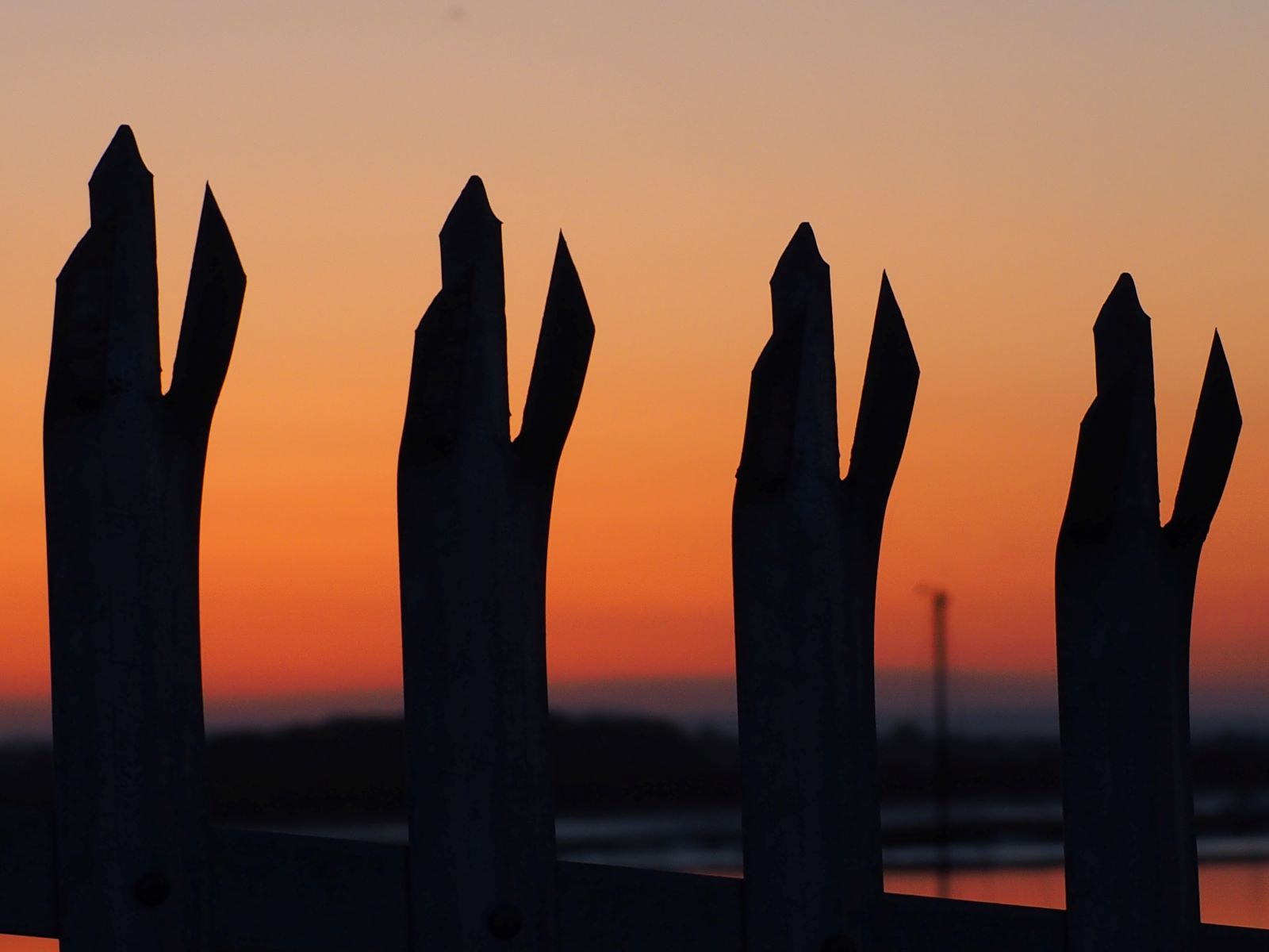 2nd Place - Margaret Bishton - Sunrise Salute